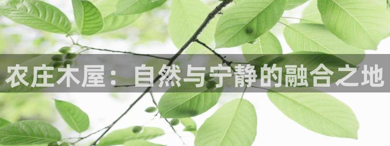 天辰娱乐-18113