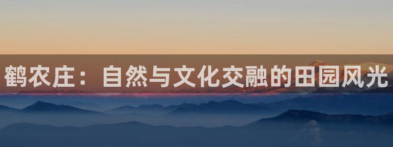 天辰娱乐公司