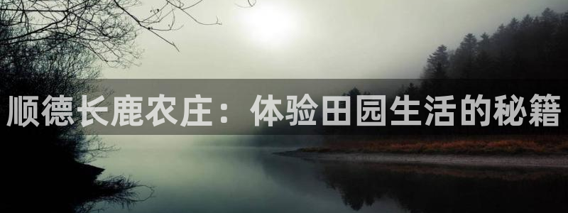 天辰娱乐会所