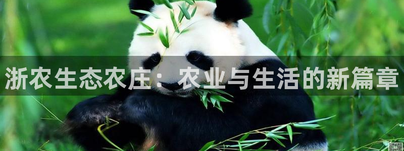 南京天辰娱乐