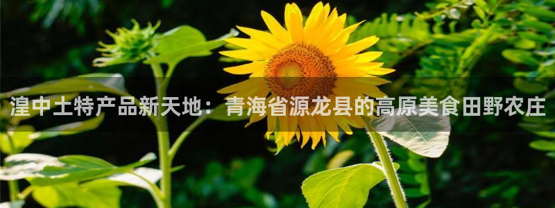 天辰娱乐台湾