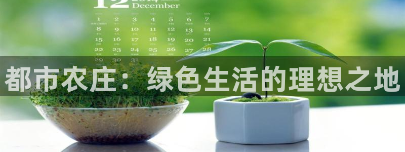 天辰娱乐平台入口