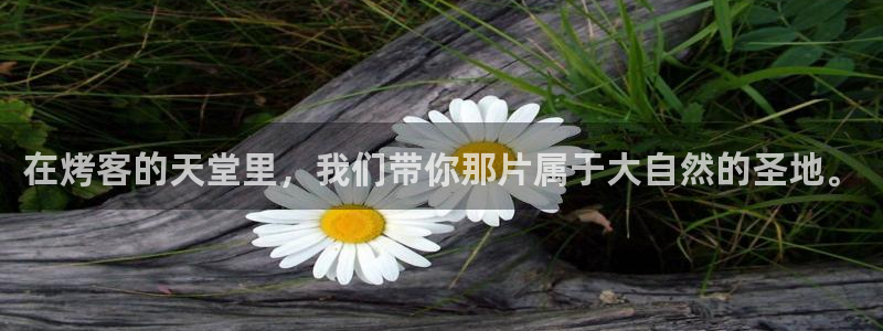天辰娱乐待遇