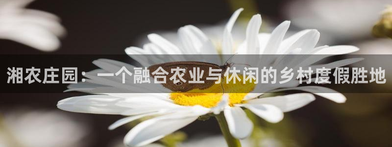 天辰娱乐文案