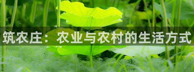 天辰娱乐维护