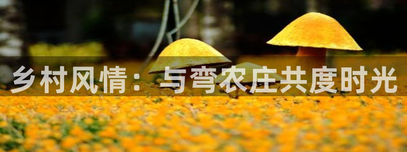 天辰娱乐在哪
