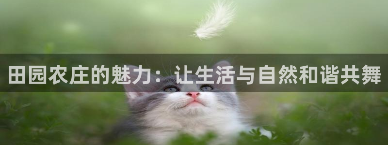 天辰娱乐在哪