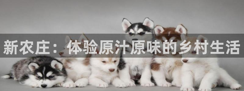 天辰娱乐10086