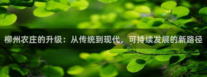 天辰娱乐 主管