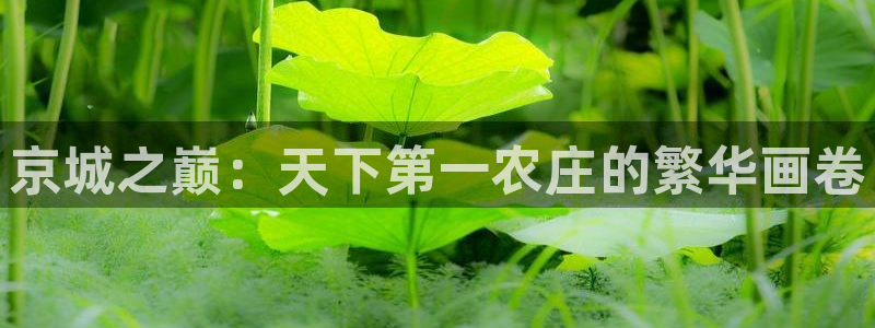 天辰娱乐天辰注册登录