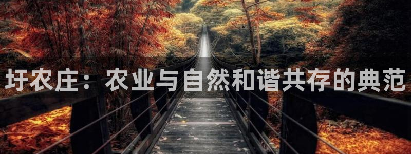 天辰娱乐官方网