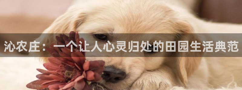 天辰娱乐在哪