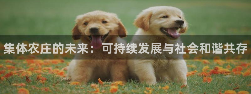 天辰娱乐反水