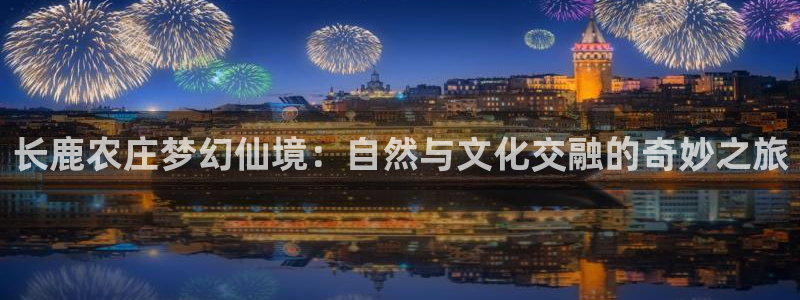 天辰娱乐61116