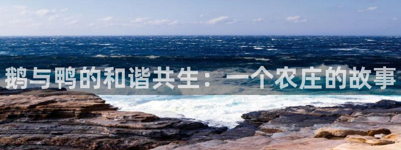 天辰娱乐网址娱乐游戏