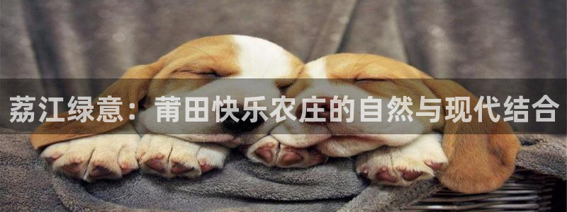 天辰娱乐线路