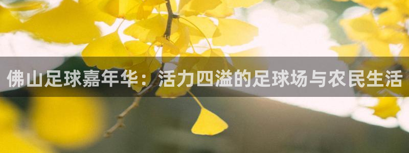 天辰娱乐官方登录下载