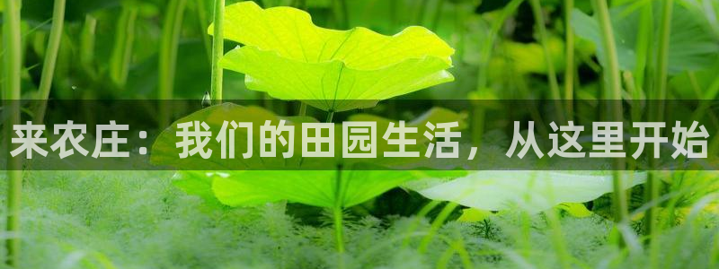 天辰娱乐平台地址在哪里