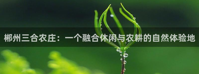 天辰娱乐解封