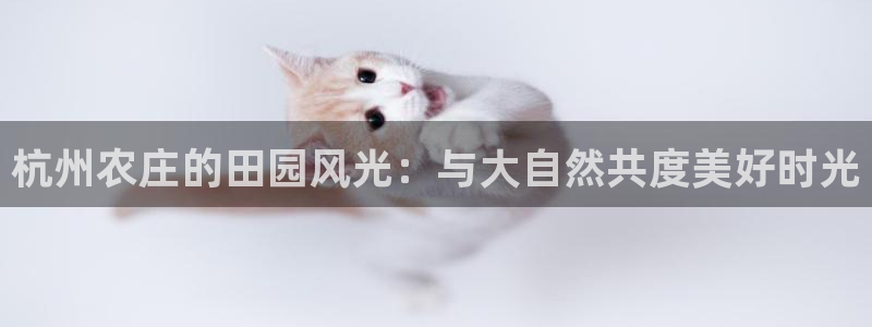 哈尔滨天辰娱乐
