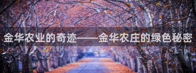 天辰娱乐app