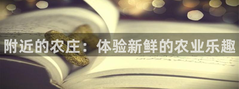 天辰娱乐老板