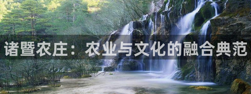 辰天娱乐用品