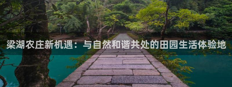 天辰娱乐首选
