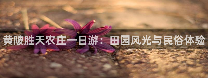 天辰娱乐视频