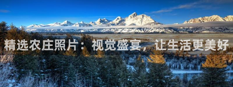天辰娱乐老板