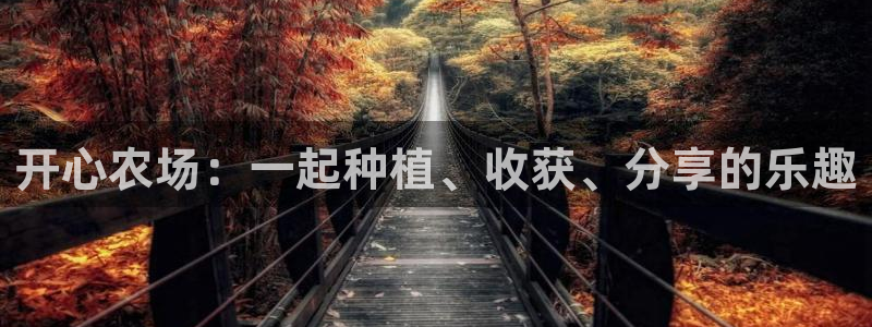 天辰娱乐天辰宝