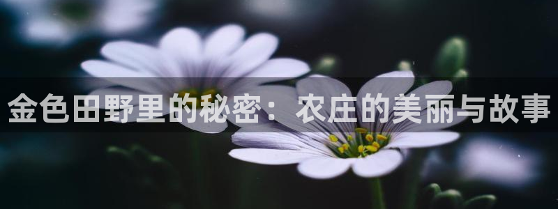天辰天辰娱乐