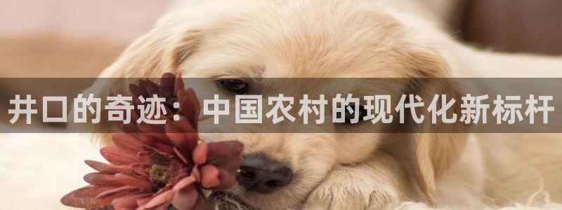 天辰娱乐官网