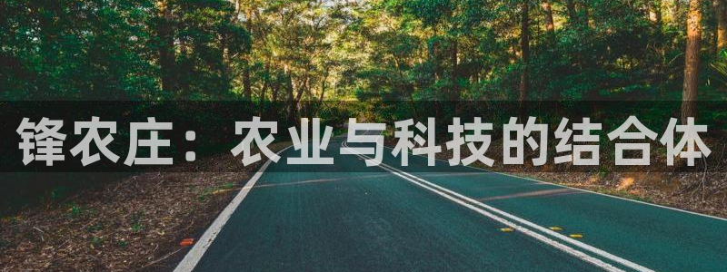 天辰娱乐官网平台入口