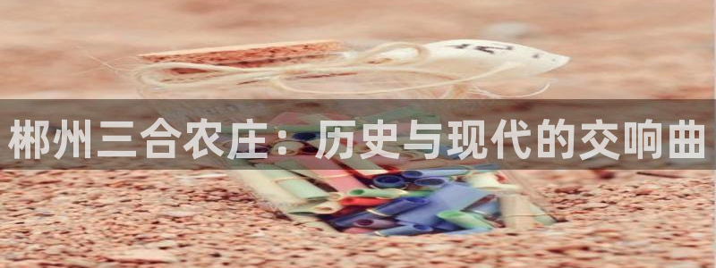 天辰娱乐视频