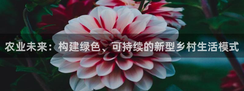 天辰娱乐厕所
