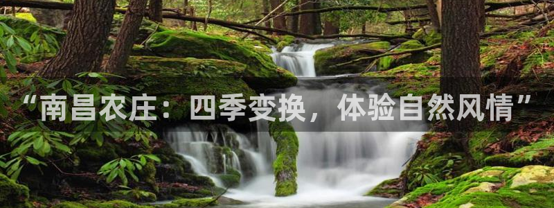 天辰娱乐下载链接