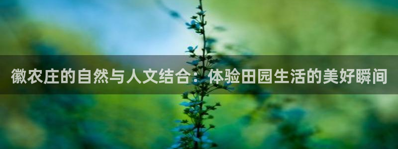 天辰娱乐新