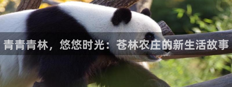 天辰娱乐官方