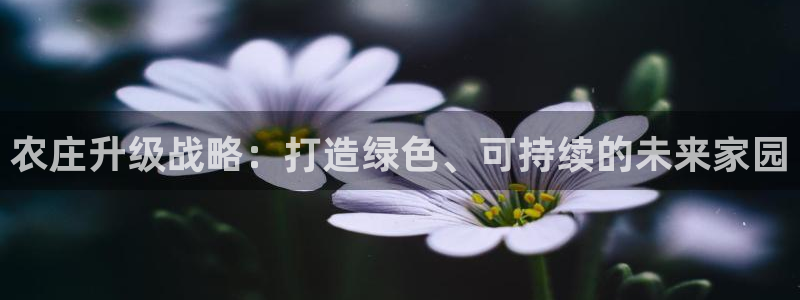 天辰娱乐卡