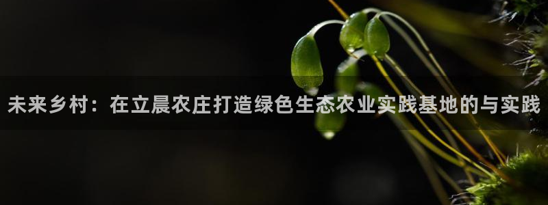 天富天辰娱乐