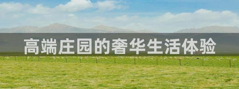 天辰娱乐957807