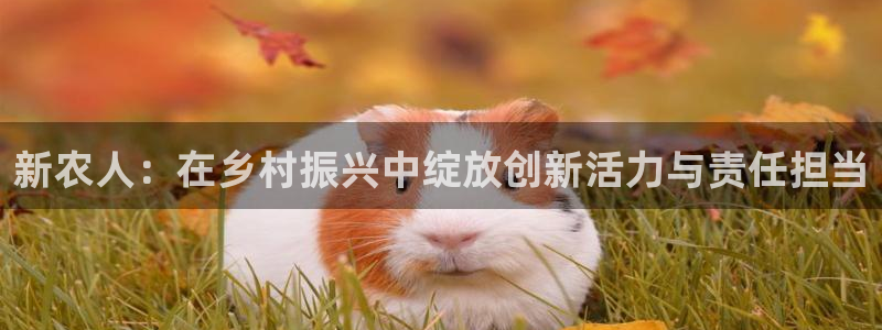 天辰娱乐首选