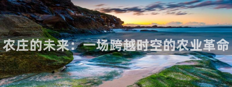天辰娱乐怎么样