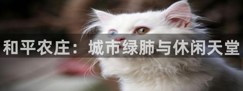 天辰娱乐国际