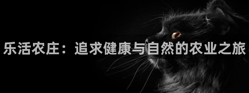 天辰娱乐登录网址