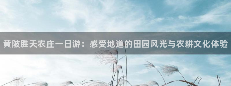 北京天辰娱乐