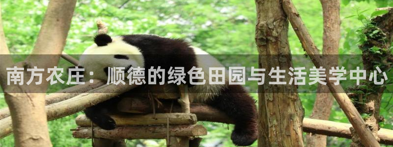 天辰娱乐557696