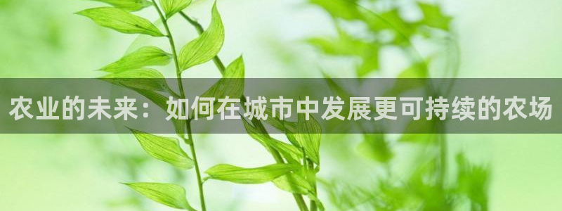 天辰娱乐信誉