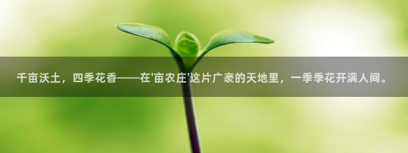 天辰娱乐平台娱乐注册